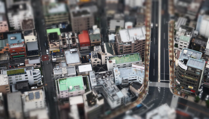 miniature miniature